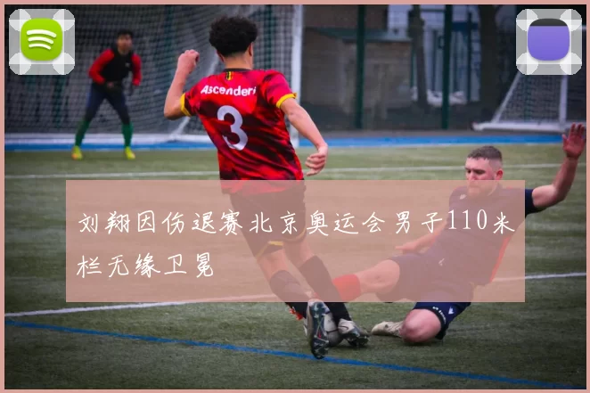 刘翔因伤退赛北京奥运会男子110米栏无缘卫冕